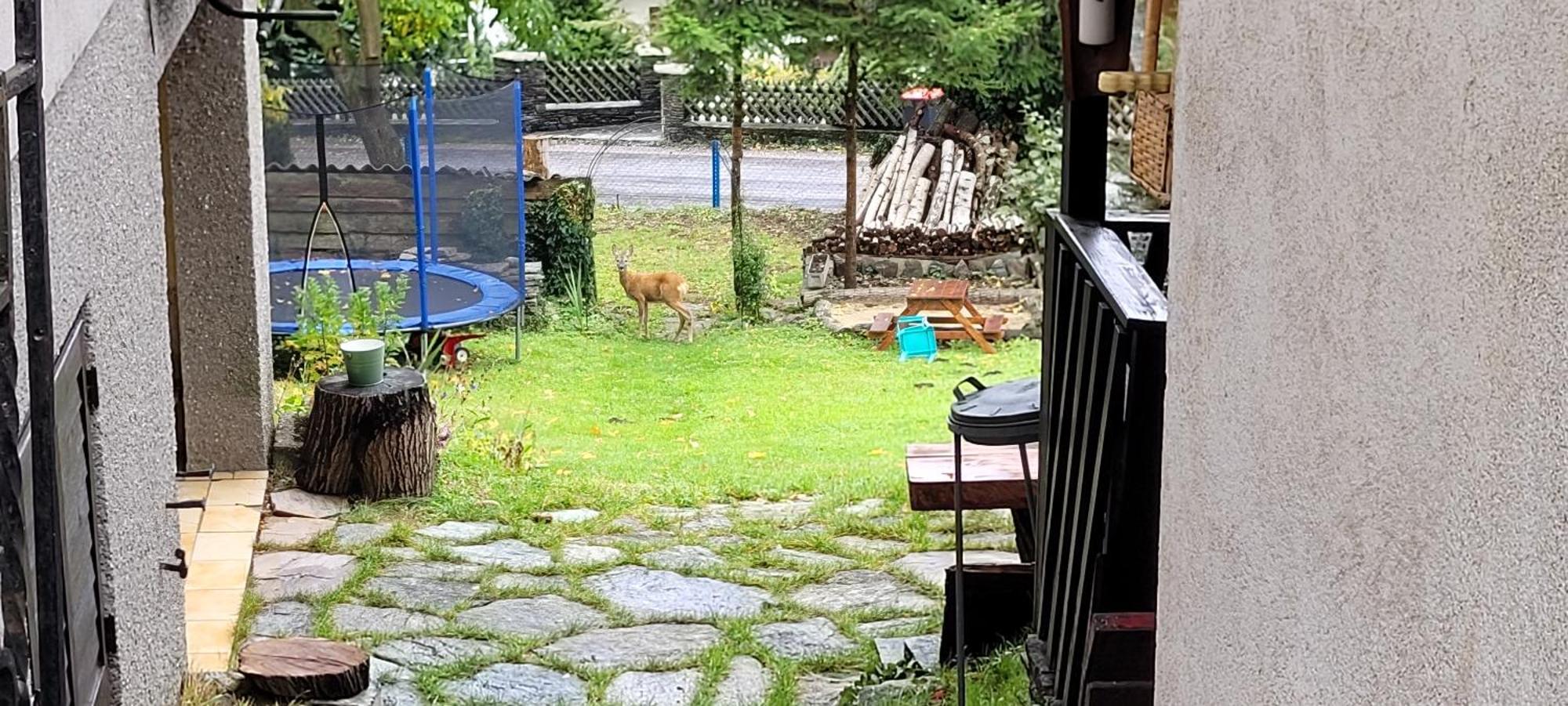 Huette Auf 1000M Hoehe In Moenichkirchen. Kültér fotó